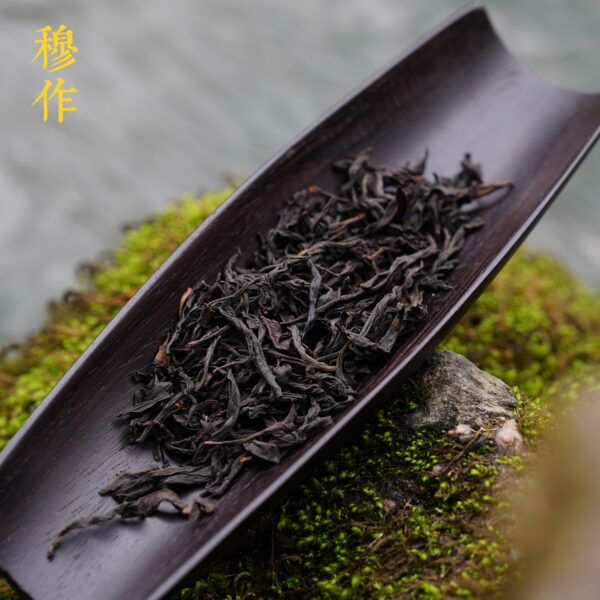 Pine-Smoke Lapsang Souchong - Image 3