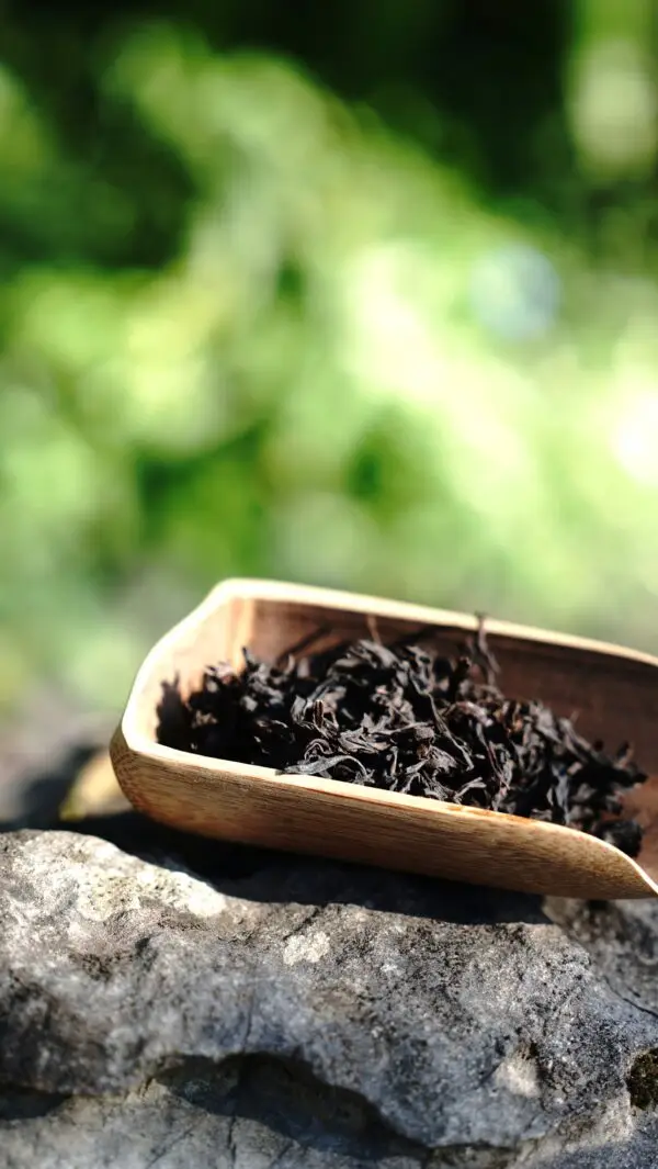 Wuyi Rock Oolong Tea – Aged Tree Rougui (Cinnamon Bark Aroma) Tea - Image 4