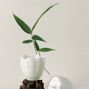 Slow Song · In the Quiet Forest – Scented Candle