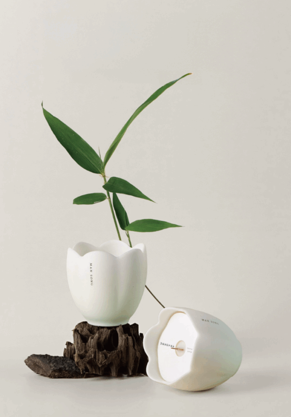 Slow Song · In the Quiet Forest – Scented Candle